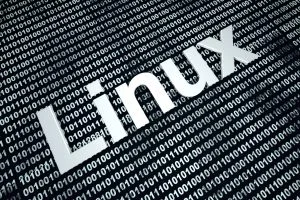 The word Linux in white over a background of binary code
