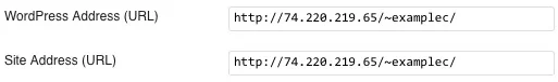 wordpress_settings_temp_url